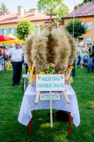 dozynki-gminy-pilzno-2016-cz-3.jpg