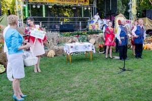 dozynki-gminy-pilzno-2016-cz-3.jpg