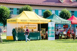 dozynki-gminy-pilzno-2016-cz-4.jpg