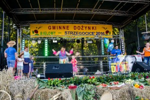dozynki-gminy-pilzno-2016-cz-4.jpg