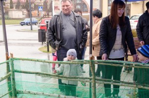 zagroda-wielkanocna.jpg