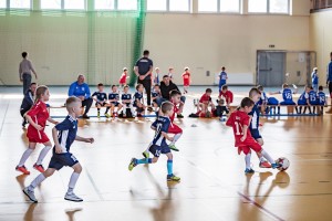 IMG_3950.jpg