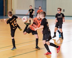 IMG_1233.jpg