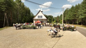 DJI_0510.jpg