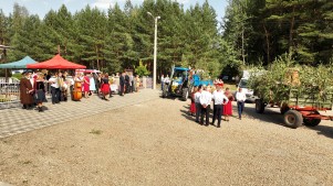 DJI_0525.jpg