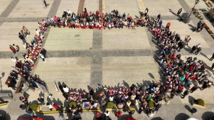 DJI_0554.jpg