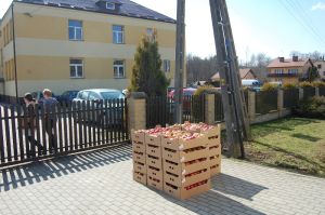 13-ton-darmowych-jablek.jpg 13-ton-darmowych-jablek.jpg