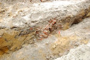 archeologiczne-odkrycie-w-pilznie-zdjecia.jpg archeologiczne-odkrycie-w-pilznie-zdjecia.jpg