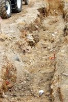 archeologiczne-odkrycie-w-pilznie-zdjecia.jpg archeologiczne-odkrycie-w-pilznie-zdjecia.jpg