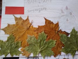 bohateron-takze-w-pilznie.jpg bohateron-takze-w-pilznie.jpg