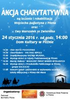 charytatywna-akcja-pelna-atrakcji.jpg