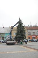 choinka-na-pilznienskim-rynku.jpg