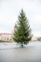 choinka-na-pilznienskim-rynku.jpg