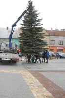 choinka-na-pilznienskim-rynku.jpg
