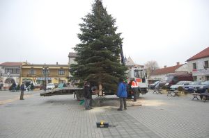 choinka-na-pilznienskim-rynku.jpg