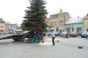 choinka-na-pilznienskim-rynku.jpg
