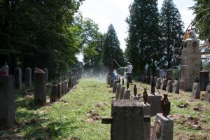 cmentarze-odzyskuja-pierwotny-wyglad.jpg