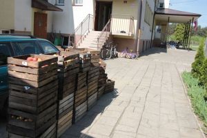 darmowe-jablka-dla-uczniow.jpg darmowe-jablka-dla-uczniow.jpg
