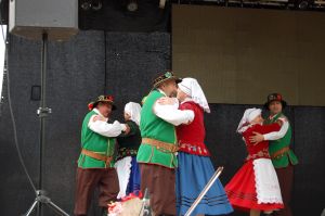 debiut-doroslych-sokolan-na-wegrzech.jpg debiut-doroslych-sokolan-na-wegrzech.jpg