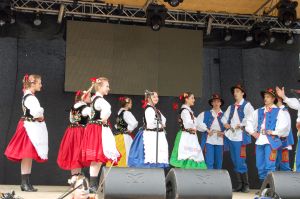 debiut-doroslych-sokolan-na-wegrzech.jpg debiut-doroslych-sokolan-na-wegrzech.jpg