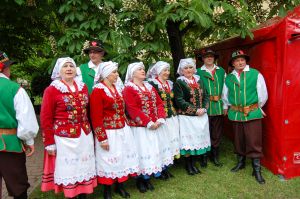 debiut-doroslych-sokolan-na-wegrzech.jpg debiut-doroslych-sokolan-na-wegrzech.jpg