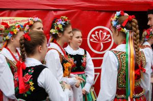 debiut-doroslych-sokolan-na-wegrzech.jpg debiut-doroslych-sokolan-na-wegrzech.jpg