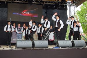 debiut-doroslych-sokolan-na-wegrzech.jpg debiut-doroslych-sokolan-na-wegrzech.jpg