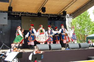 debiut-doroslych-sokolan-na-wegrzech.jpg debiut-doroslych-sokolan-na-wegrzech.jpg