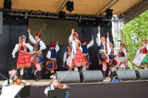 debiut-doroslych-sokolan-na-wegrzech.jpg debiut-doroslych-sokolan-na-wegrzech.jpg
