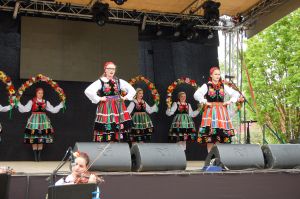 debiut-doroslych-sokolan-na-wegrzech.jpg debiut-doroslych-sokolan-na-wegrzech.jpg
