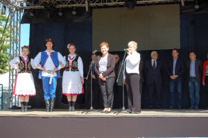 debiut-doroslych-sokolan-na-wegrzech.jpg debiut-doroslych-sokolan-na-wegrzech.jpg