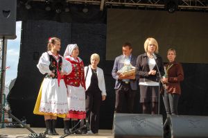 debiut-doroslych-sokolan-na-wegrzech.jpg debiut-doroslych-sokolan-na-wegrzech.jpg