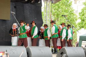 debiut-doroslych-sokolan-na-wegrzech.jpg debiut-doroslych-sokolan-na-wegrzech.jpg