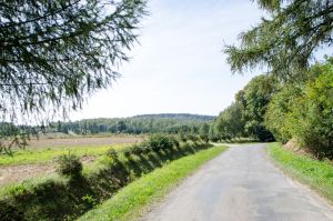 dofinansowanie-z-funduszu-drog-samorzadowych.jpg