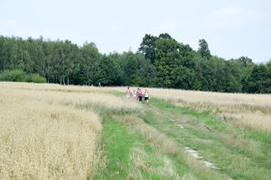 droga-sw-jakuba-do-slotowej.jpg droga-sw-jakuba-do-slotowej.jpg