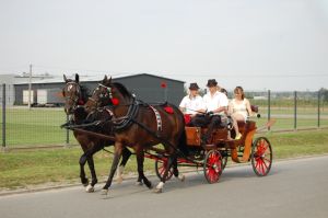 dzien-pelen-atrakcji.jpg