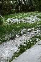 gradobicie-dobra-wiadomoscia-zdjecia.jpg