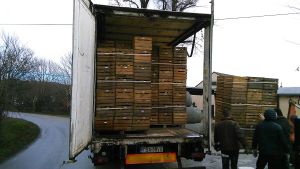 jablka-dla-mieszkancow.jpg