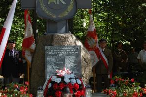 kaluzowka-2015-zdjecia.jpg