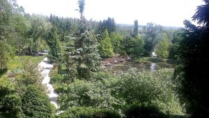 konkurs-w-arboretum.jpg