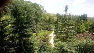 konkurs-w-arboretum.jpg