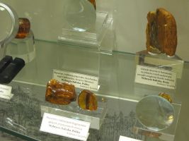 mlodziezowe-spotkania-historyczne.jpg