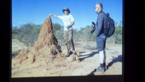 o-namibii-w-zwierniku.jpg