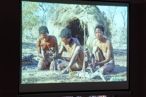 o-namibii-w-zwierniku.jpg