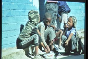 o-namibii-w-zwierniku.jpg