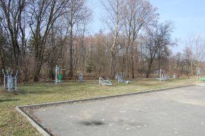 osy-w-budowie.jpg