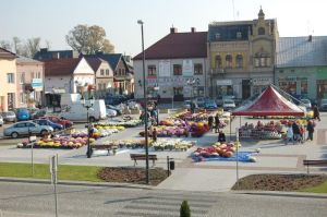 plona-znicze.jpg