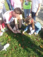 pola-nadziei-w-lipinach.jpg pola-nadziei-w-lipinach.jpg