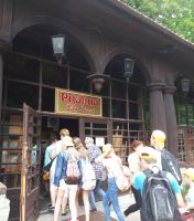 polkolonia-w-lekach-gornych.jpg