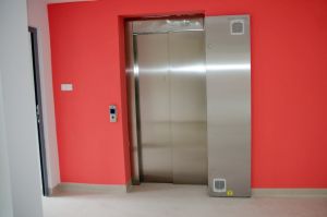 sds-w-parkoszu-na-finiszu.jpg sds-w-parkoszu-na-finiszu.jpg